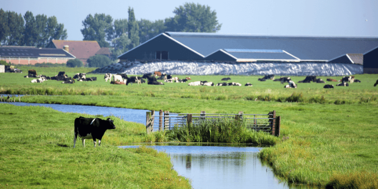 19/9 – SGP Landbouwconferentie: 'Agrarisch ondernemerschap - ruimte voor doelsturing'