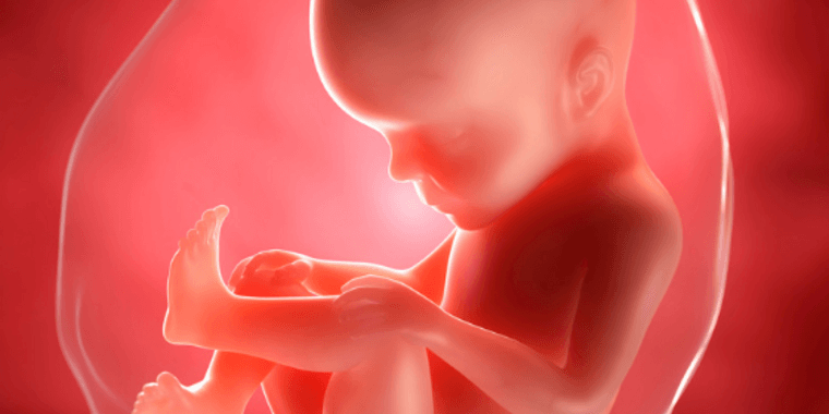 10/11 – Prolife in de Nederlandse politiek