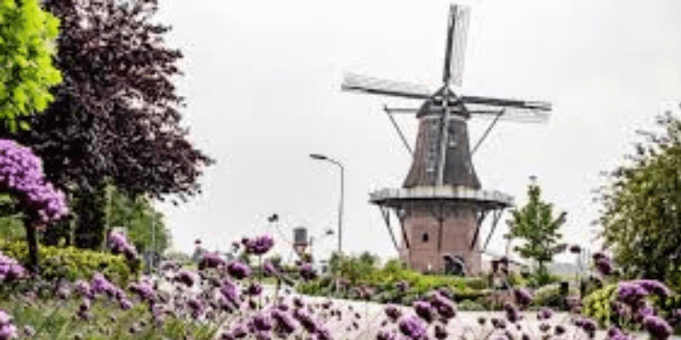 19/2 – Verkiezingsavond Kootwijkerbroek