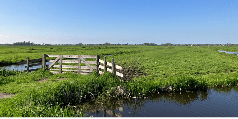 6/3 – Verkiezingsavond