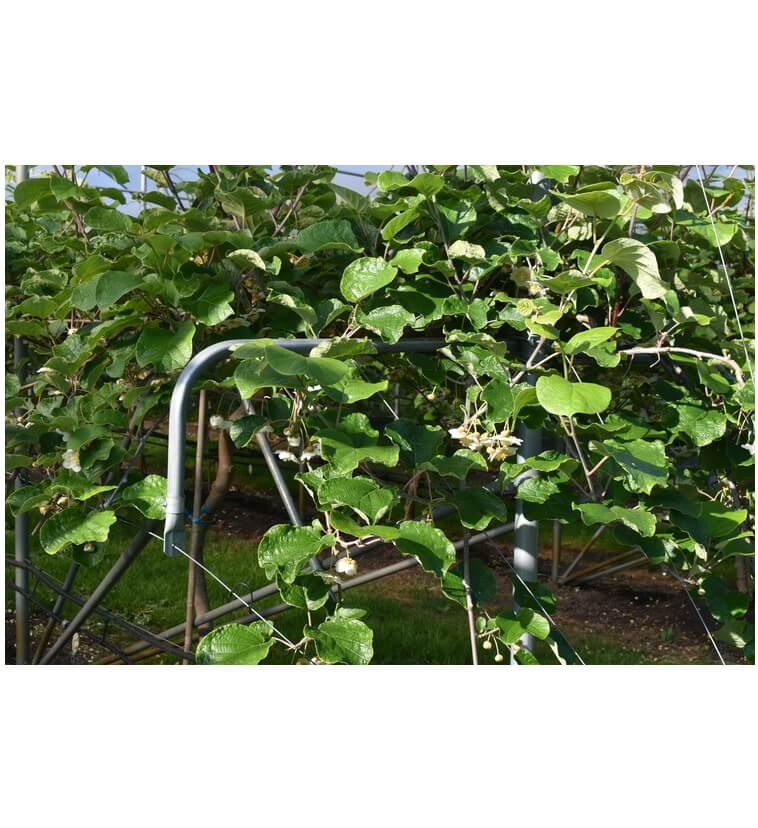 Regionaal voedsel is van alle tijden'