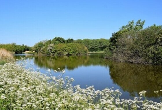 Amendement bij raadsvoorstel Nollebos/Westduinpark