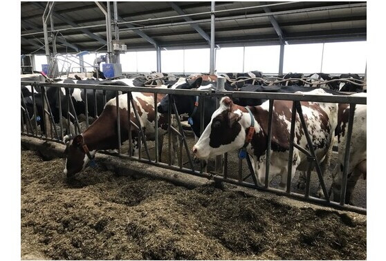 Op weg naar een eerlijker verdienmodel voor boeren