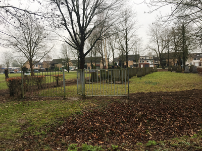 SGP bezorgd over 'kaalslag' rond Joodse begraafplaats