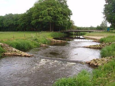 Beleid vismigratie niet KRW-wateren