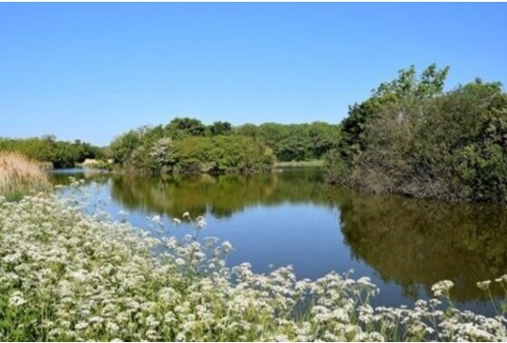 3 moties bij de raadsvergadering van 22-06-2021