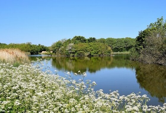 3 amendementen - streefbeeld Nollebos/Westduinpark