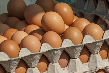 NVWA liet grote steken vallen in fipronilkwestie