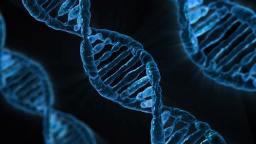 Snel afnemen DNA misdadigers is van levensbelang