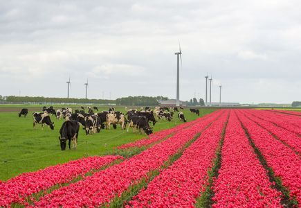 SGP blijft zich hard maken voor startende boeren en knelgevallen