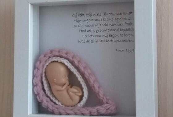 SGP: protest tegen abortussteun Europarlement