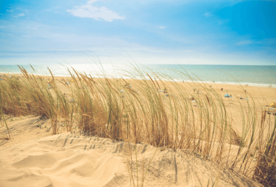 Zomerreces