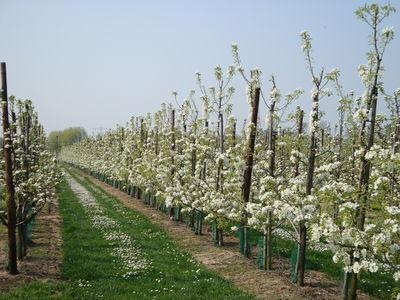 Huisvesting van arbeidsmigranten