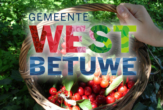 In gesprek met West Betuwe