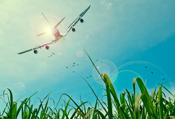 Natuurvergunning Lelystad Airport