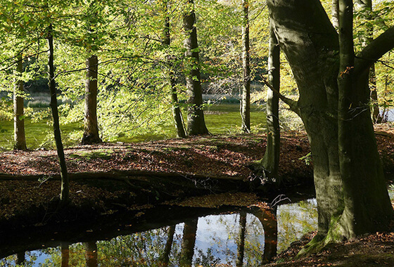 Recreatiezonering op de Veluwe