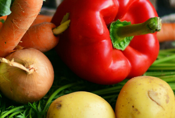 Gebiedsagenda voor de Foodvalley