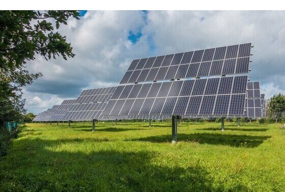 SGP wil geen groen opofferen voor zonnepanelen