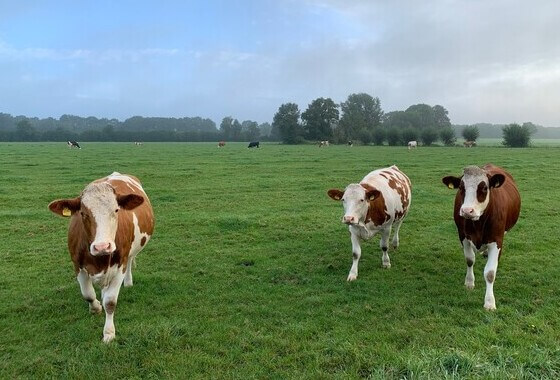 Eerste PAS-Melder gelegaliseerd in Overijssel