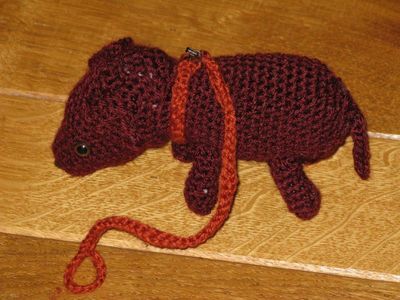 Motie gevaarlijke honden is aangehouden