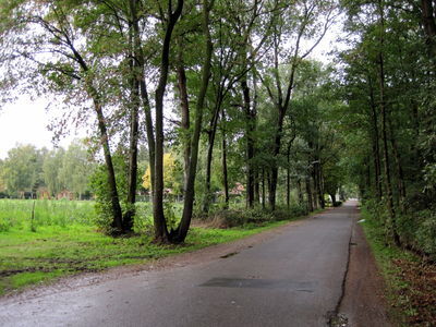 SGP pleit voor benaming ‘plattelandswoning’ in omgevingsvisie buitengebied