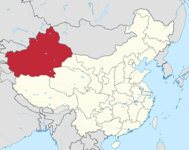Oeigoeren Xinjiang menselijke pionnen in surveillancesamenleving China