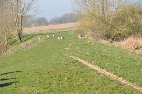 SGP: Verschuif jachtperiode ganzen