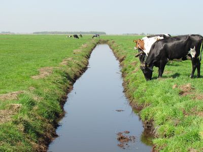 SGP: pas op de PAS