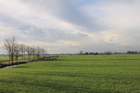 Werkbezoek Veenweiden