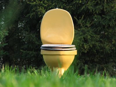 Iedereen de pot op