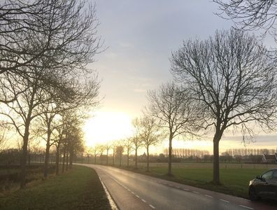 Beleidsnota natuurwetgeving: Bouwen, Bewaren, Bomen