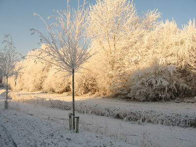 Theocratische kerststemming