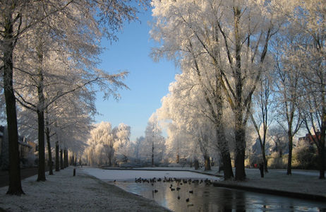 Column Jasper de Jong Besluit