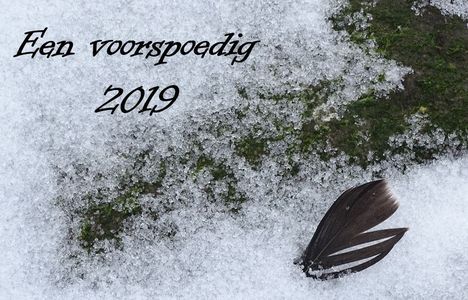 Blik vooruit en achterom