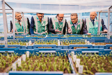 Geen patent op planten