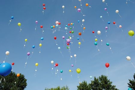 Ballonmotie SGP aangenomen
