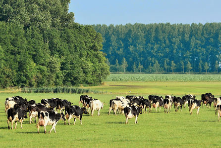 Agro Debatavond Heerde