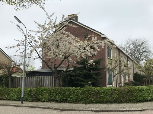 Vragen betreffende natuur-inclusief bouwen