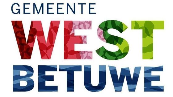 Het raadswerk - februari en maart 2019