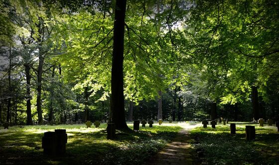 Bijdrage SGP over de wet op de lijkbezorging