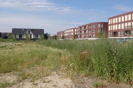 Meer woningen kerklocatie Lange Dreef