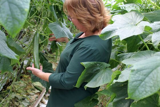 Dag van de boerin: op bezoek bij tuindersvrouw Ellie