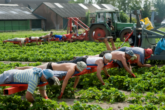 MIGRATIE: STEMMEN MET DE VOETEN?