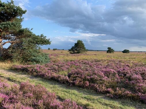 Schriftelijke beschouwingen SGP ingediend