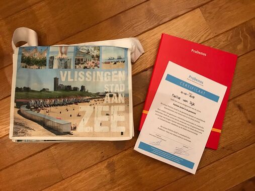 Politiek actief, een cursus van ProDemos