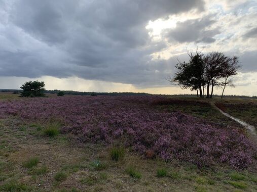 Debatavond SGP Elspeet