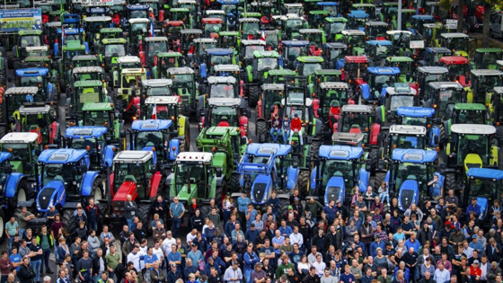 Open brief aan minister president Rutte