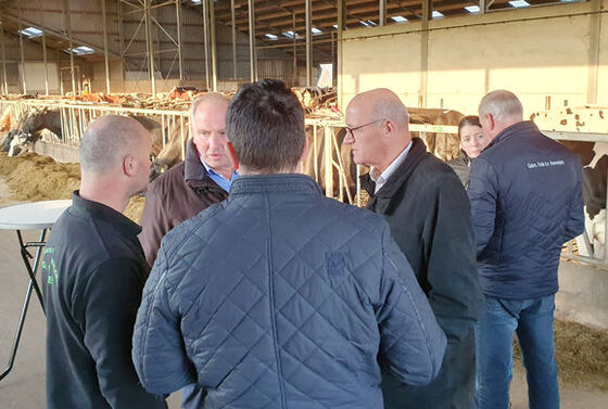 Betrek boeren bij het vinden van oplossingen voor het stikstofprobleem