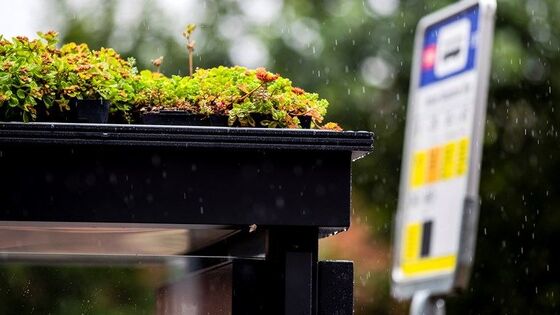 Gemeenteraad Ede wil groen op bushokjes, maar dat duurt nog jaren