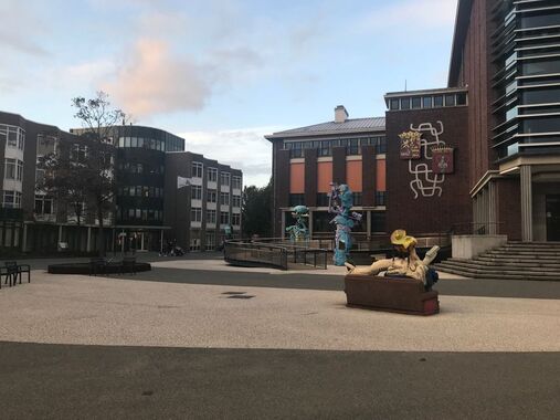 Commissievergadering en persbericht overlast en veiligheid